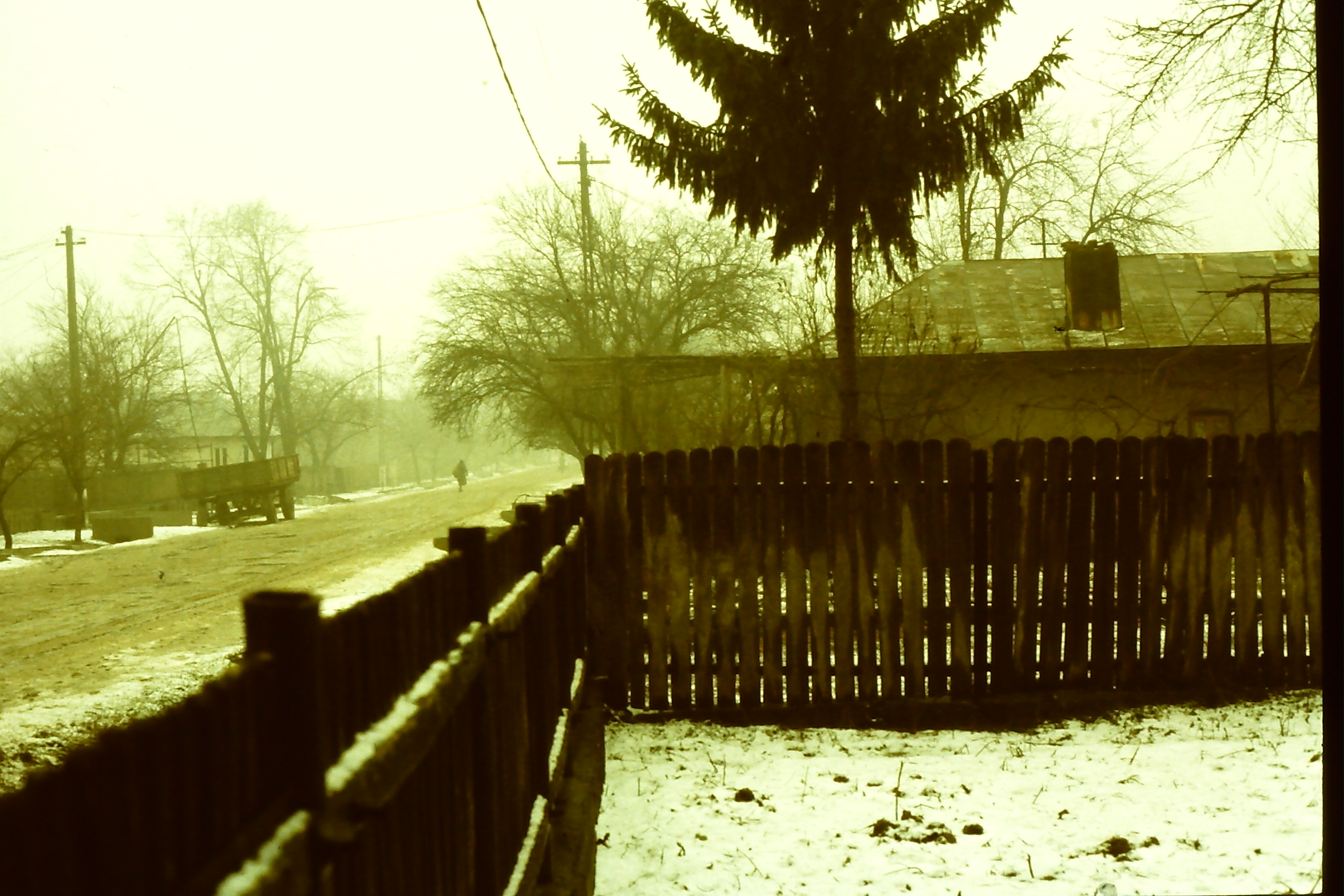 PICT0001-11.JPG