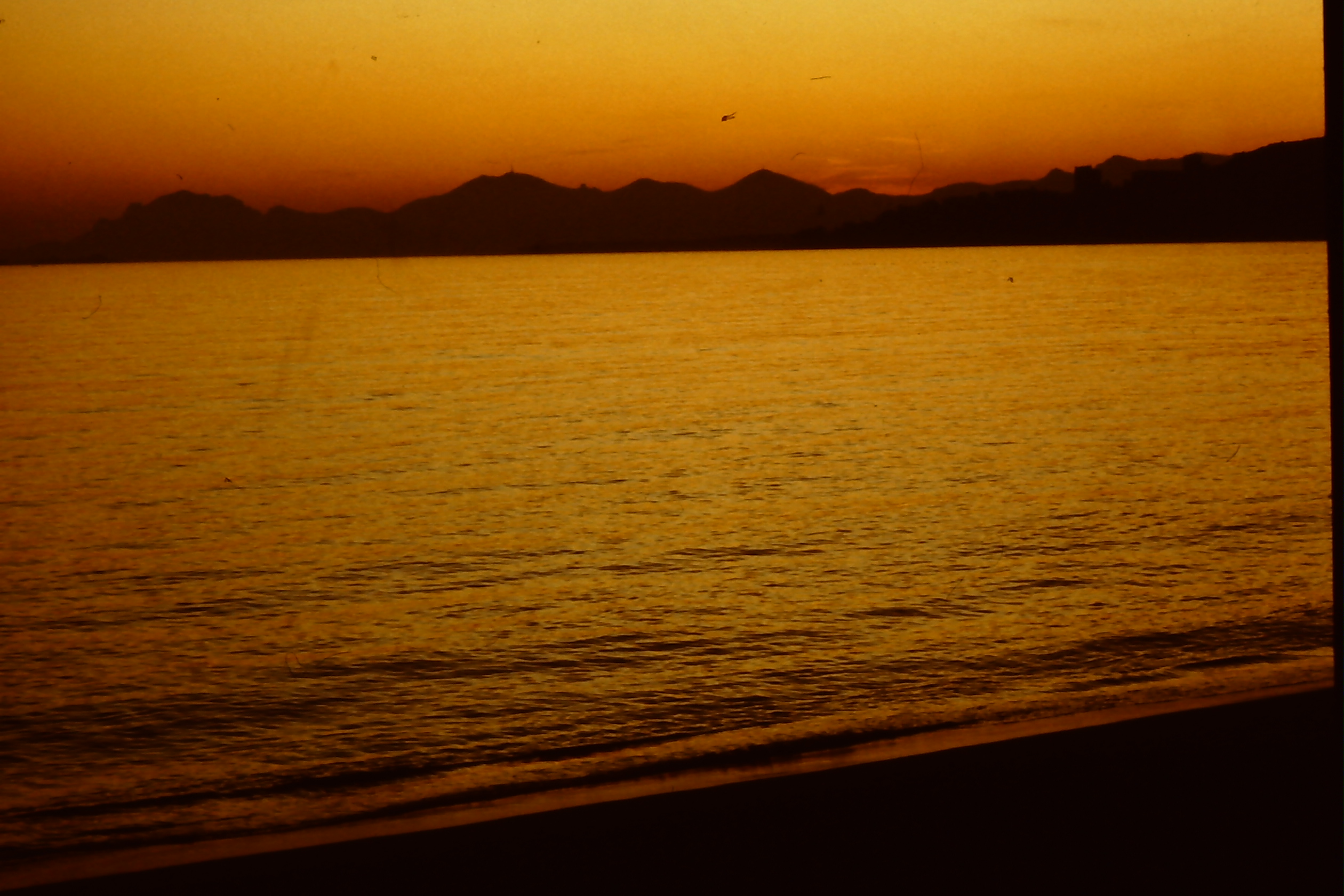 PICT0001-5.JPG