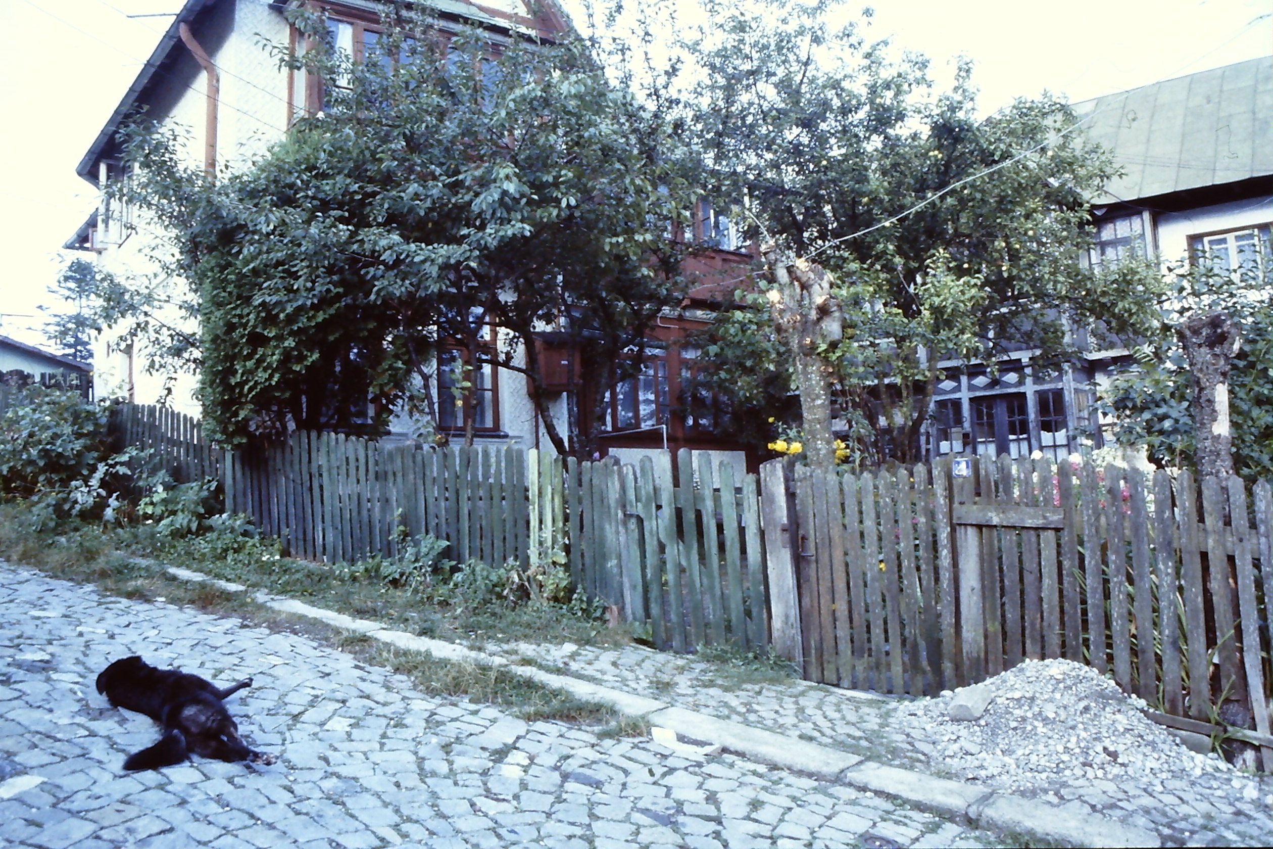 PICT0001-9.JPG