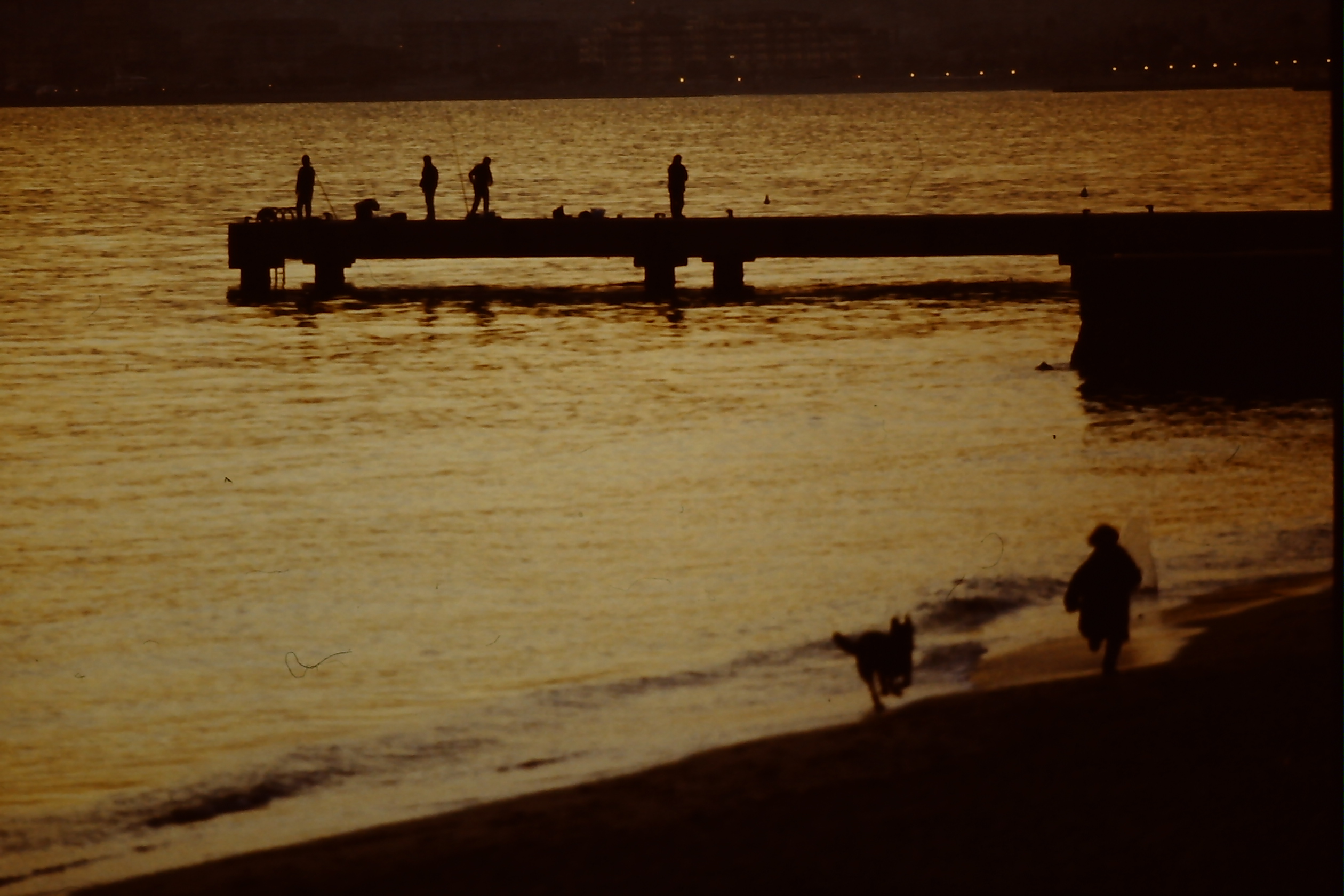 PICT0003-5.JPG