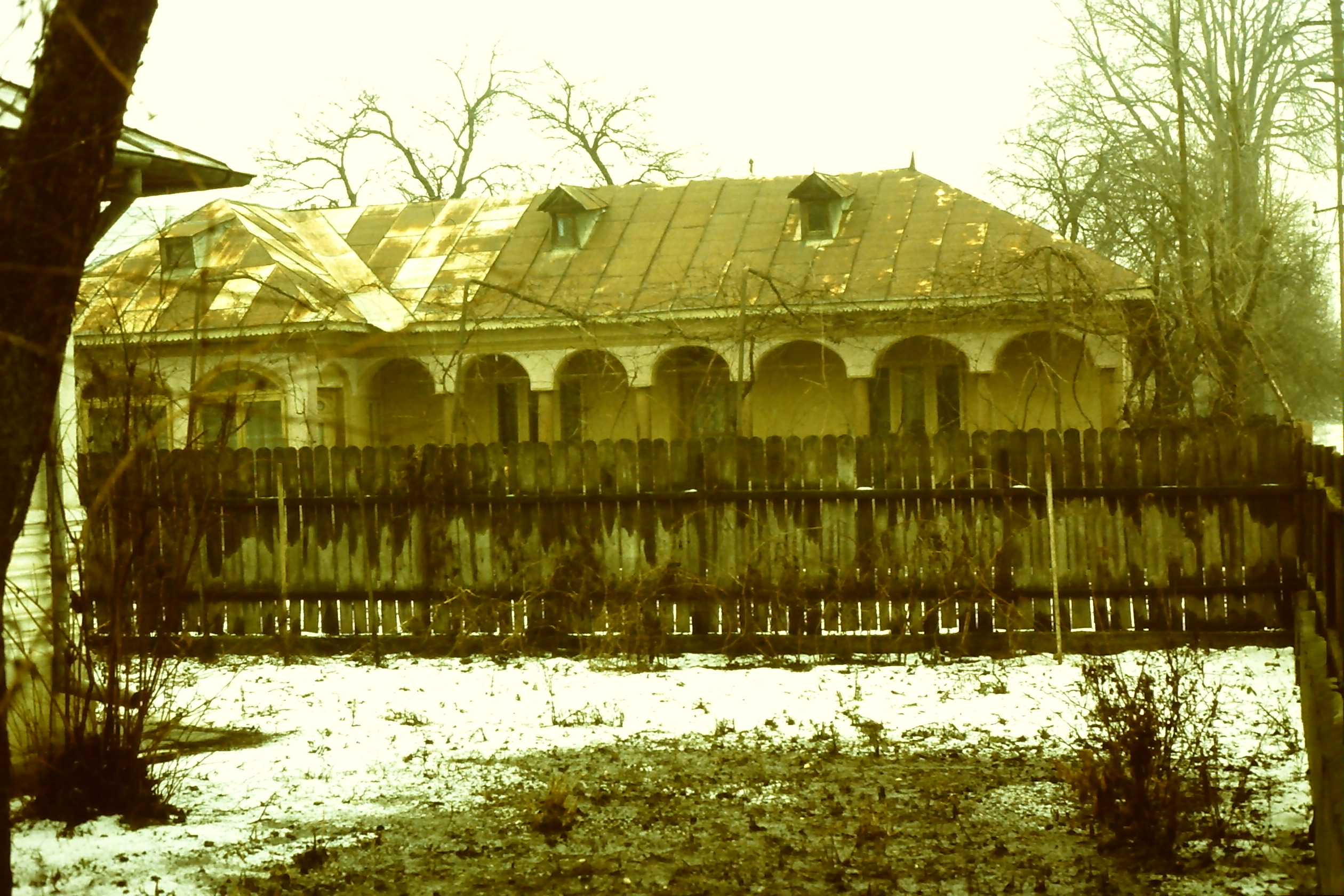 PICT0005-12.JPG