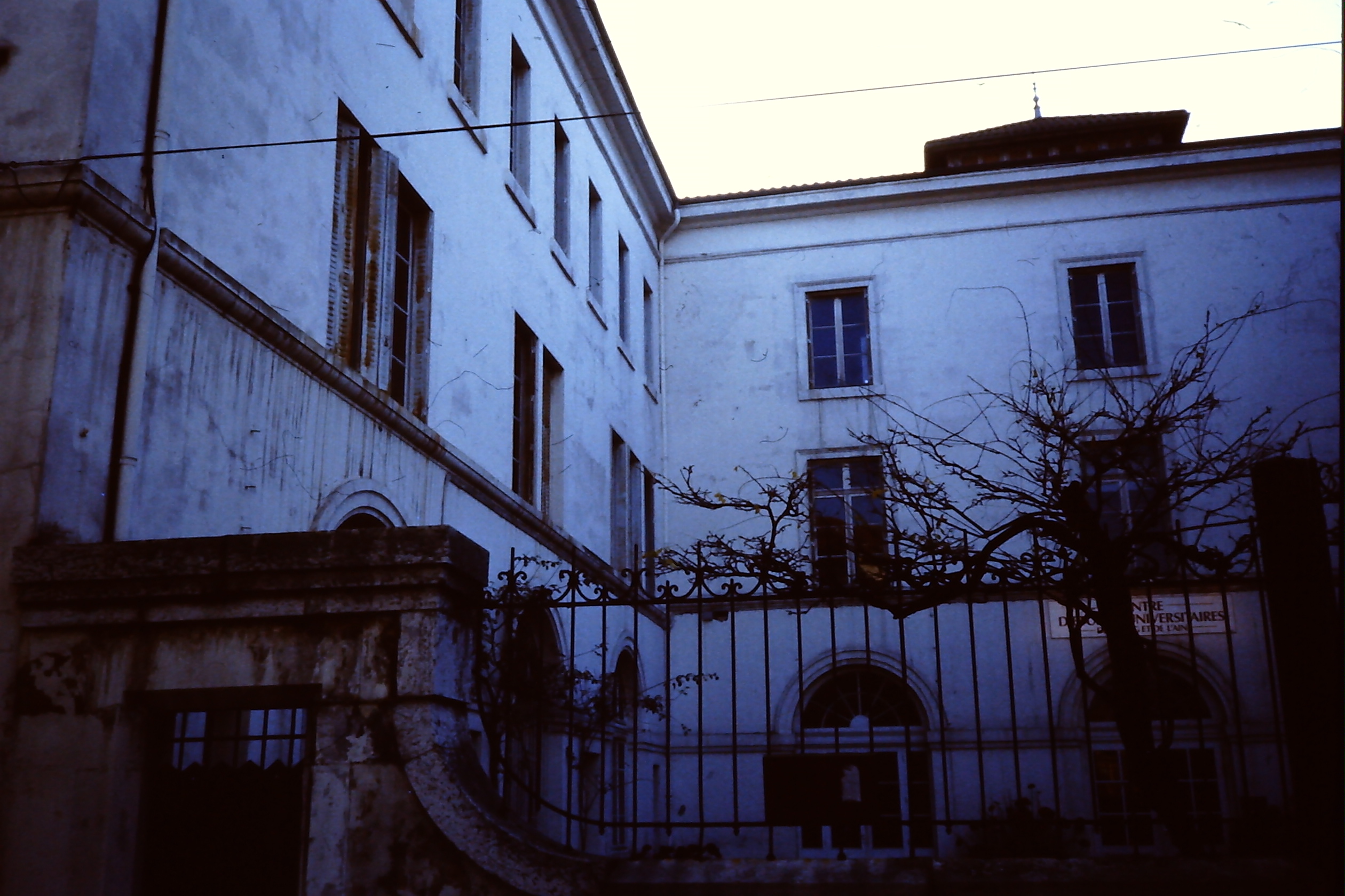 PICT0009-4.JPG