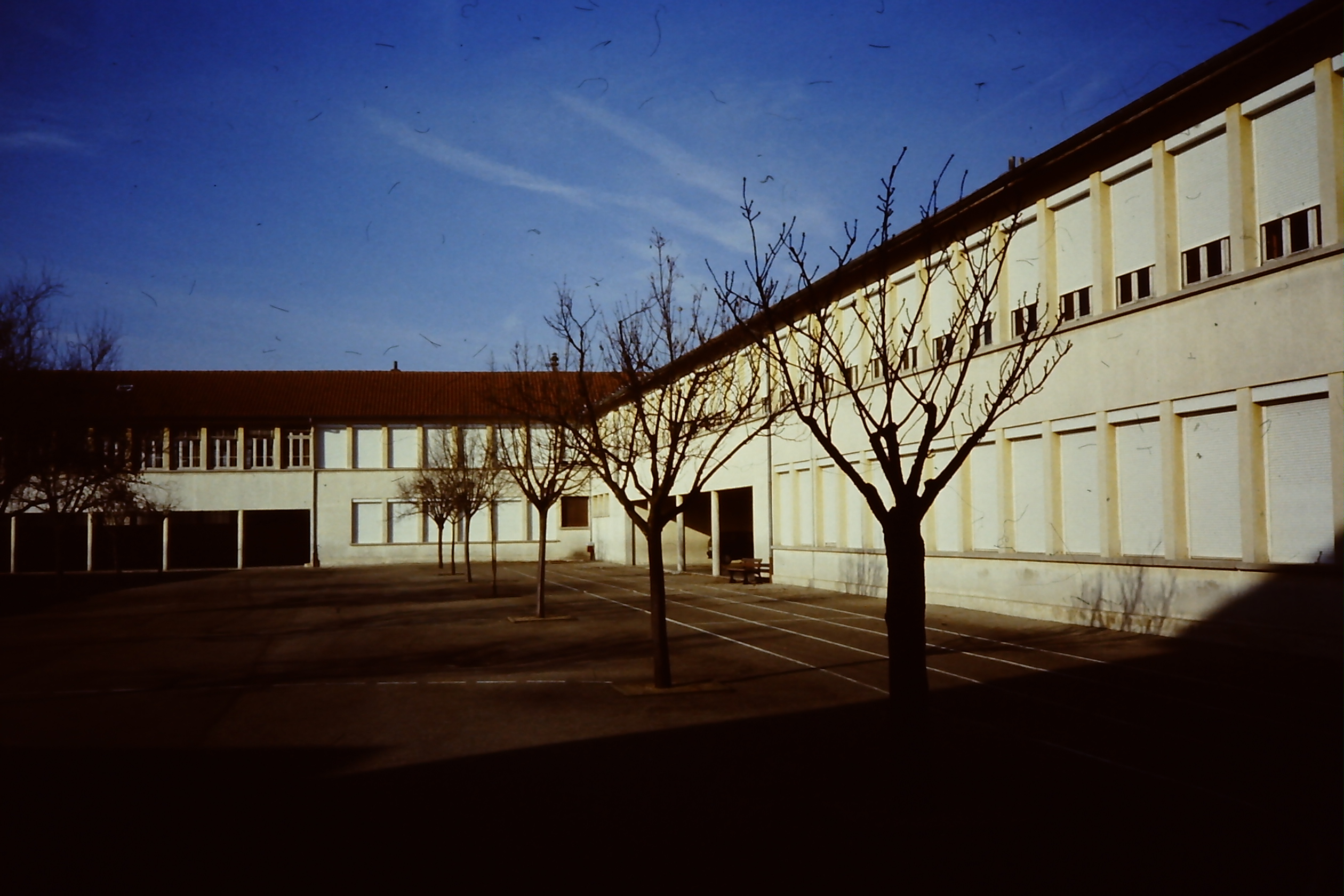 PICT0016-1.JPG