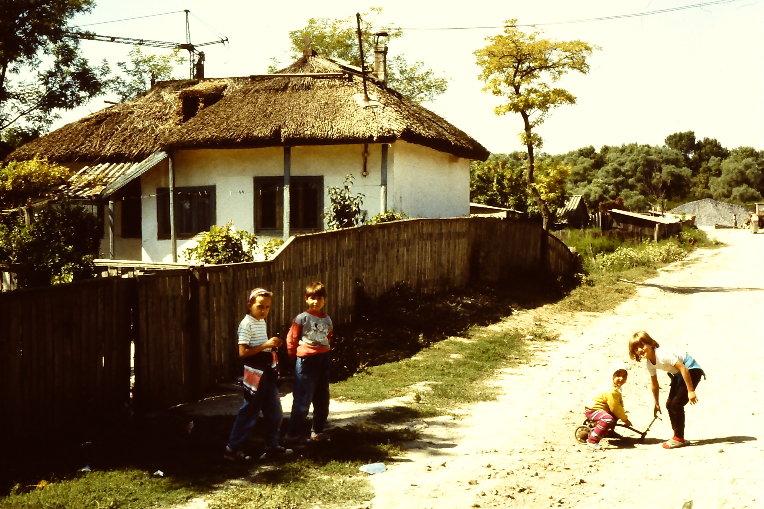PICT0017-9.JPG