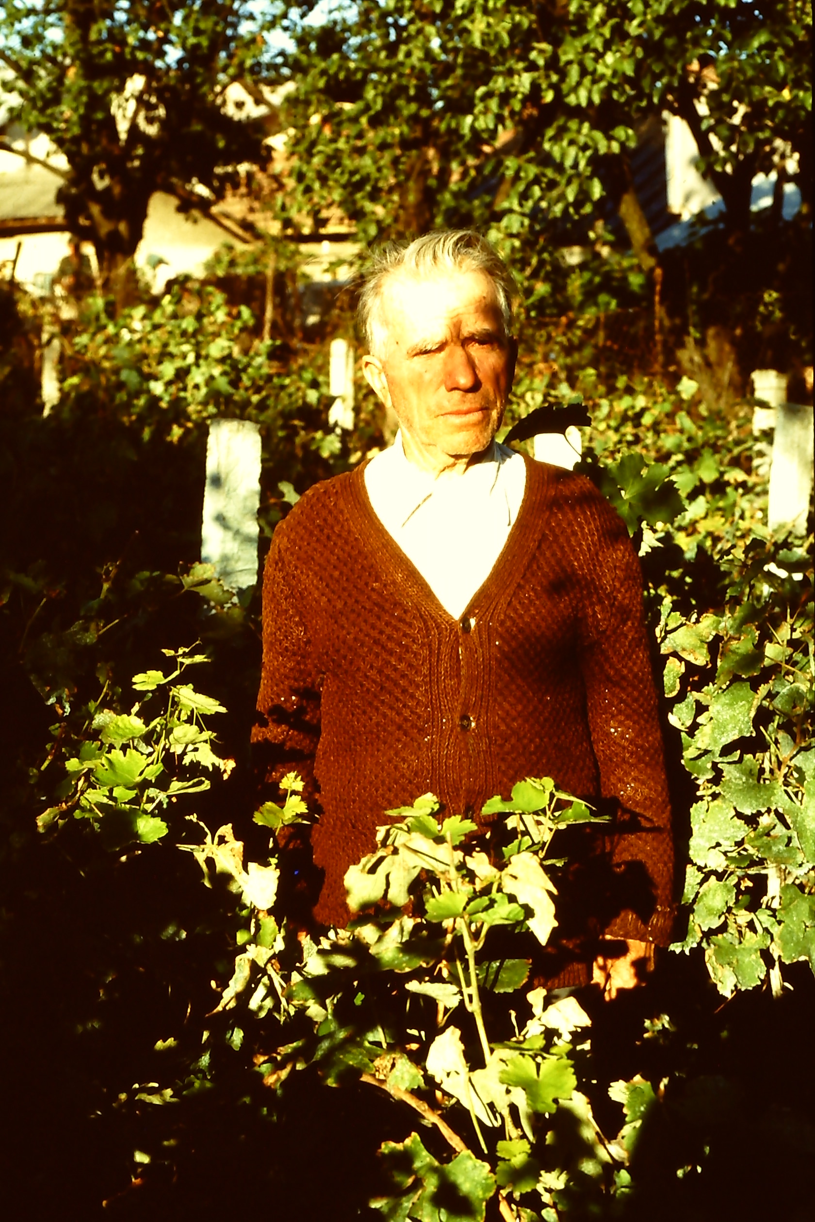 PICT0018-12.JPG