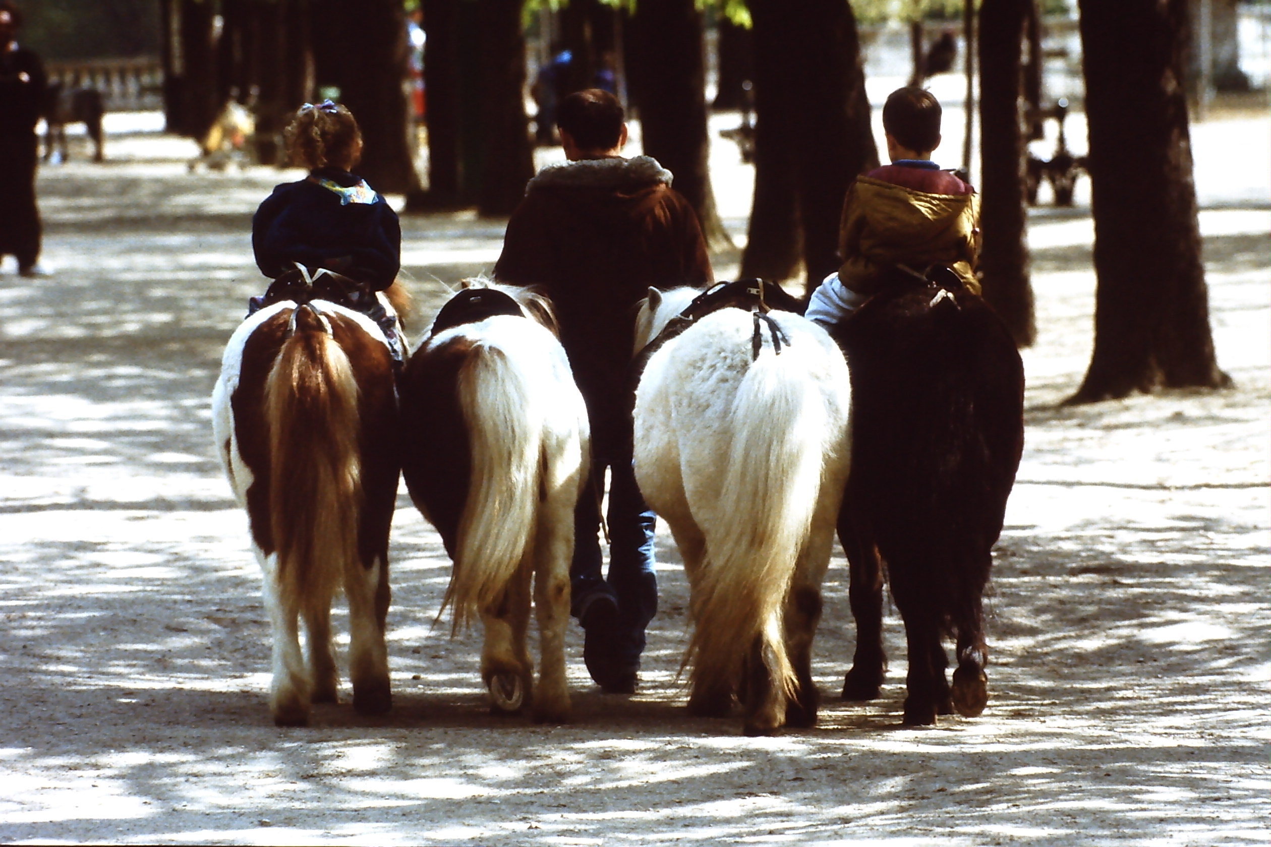 pict0009-3.jpg