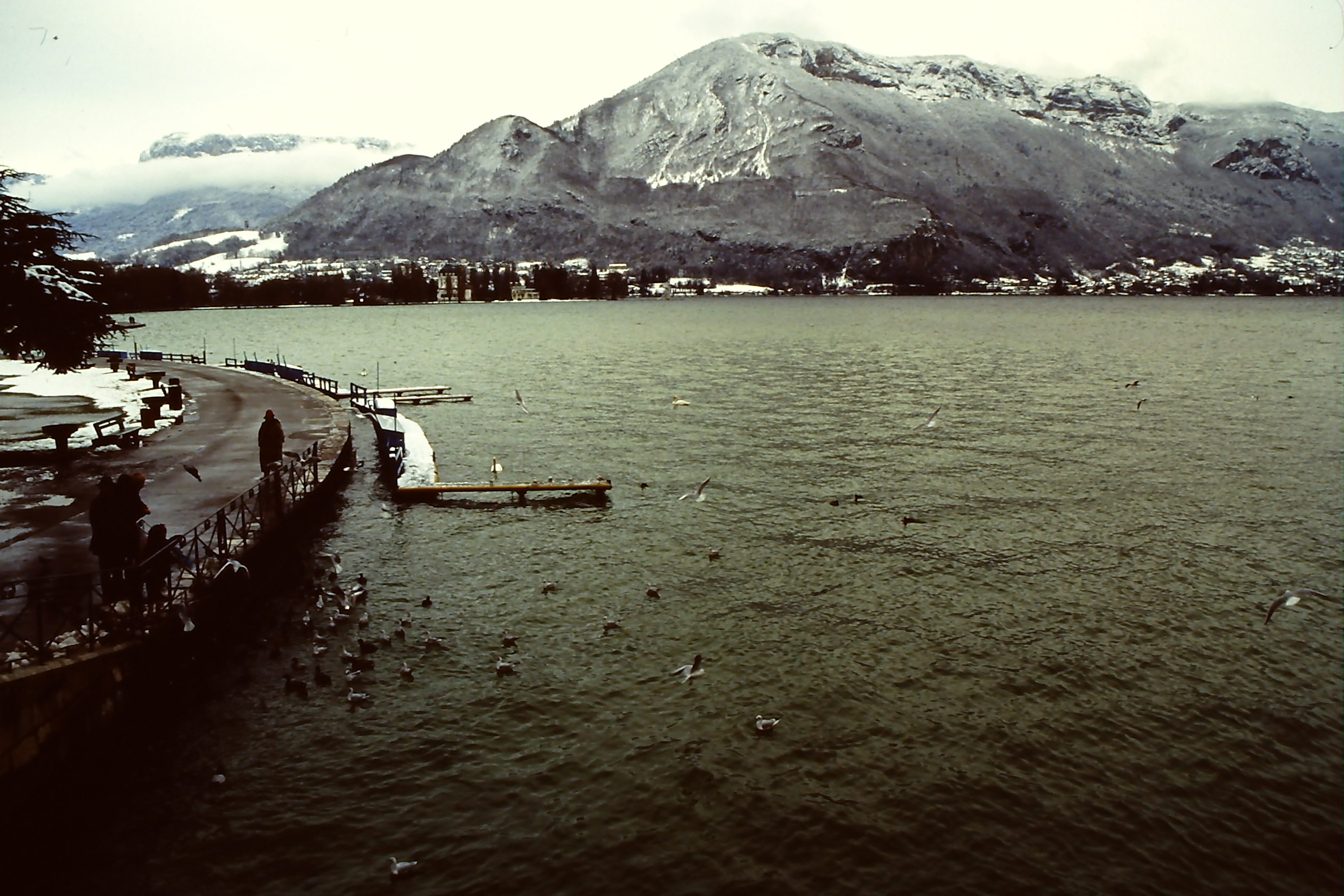 PICT0026-2.JPG