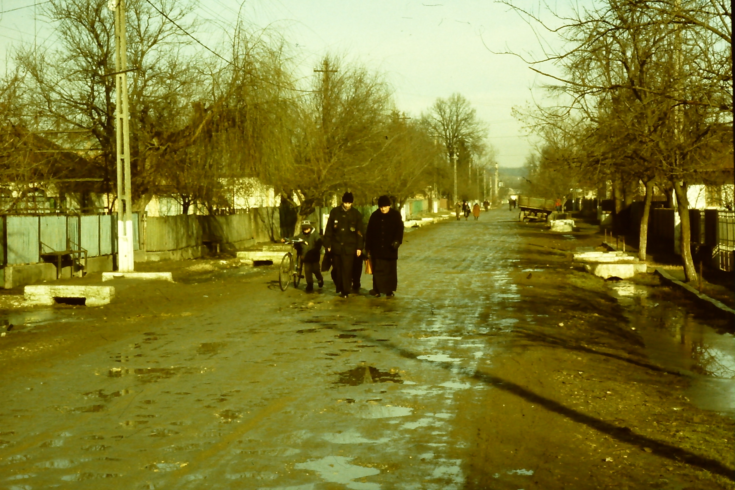 PICT0028-10.JPG