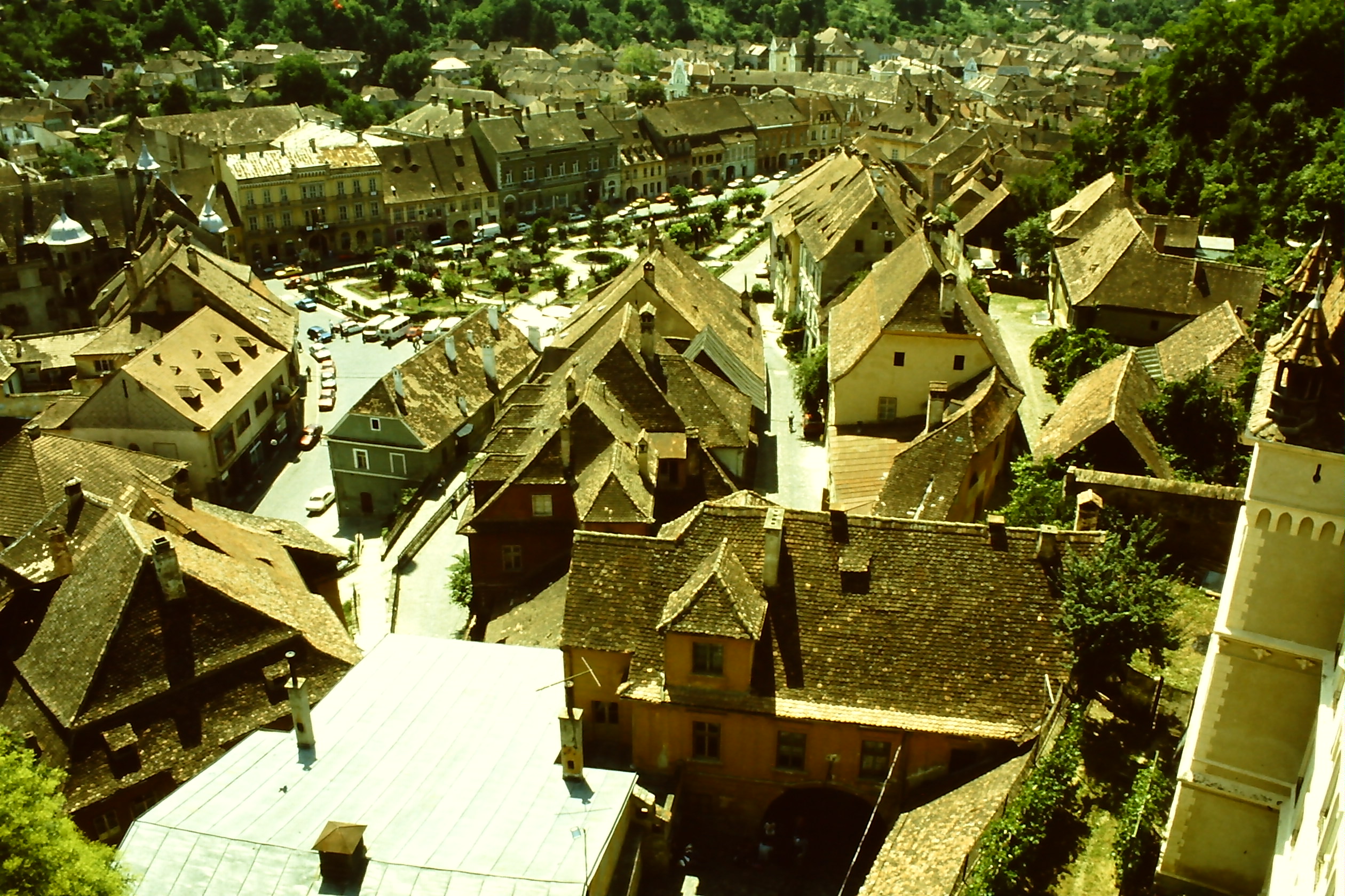 PICT0028-7.JPG
