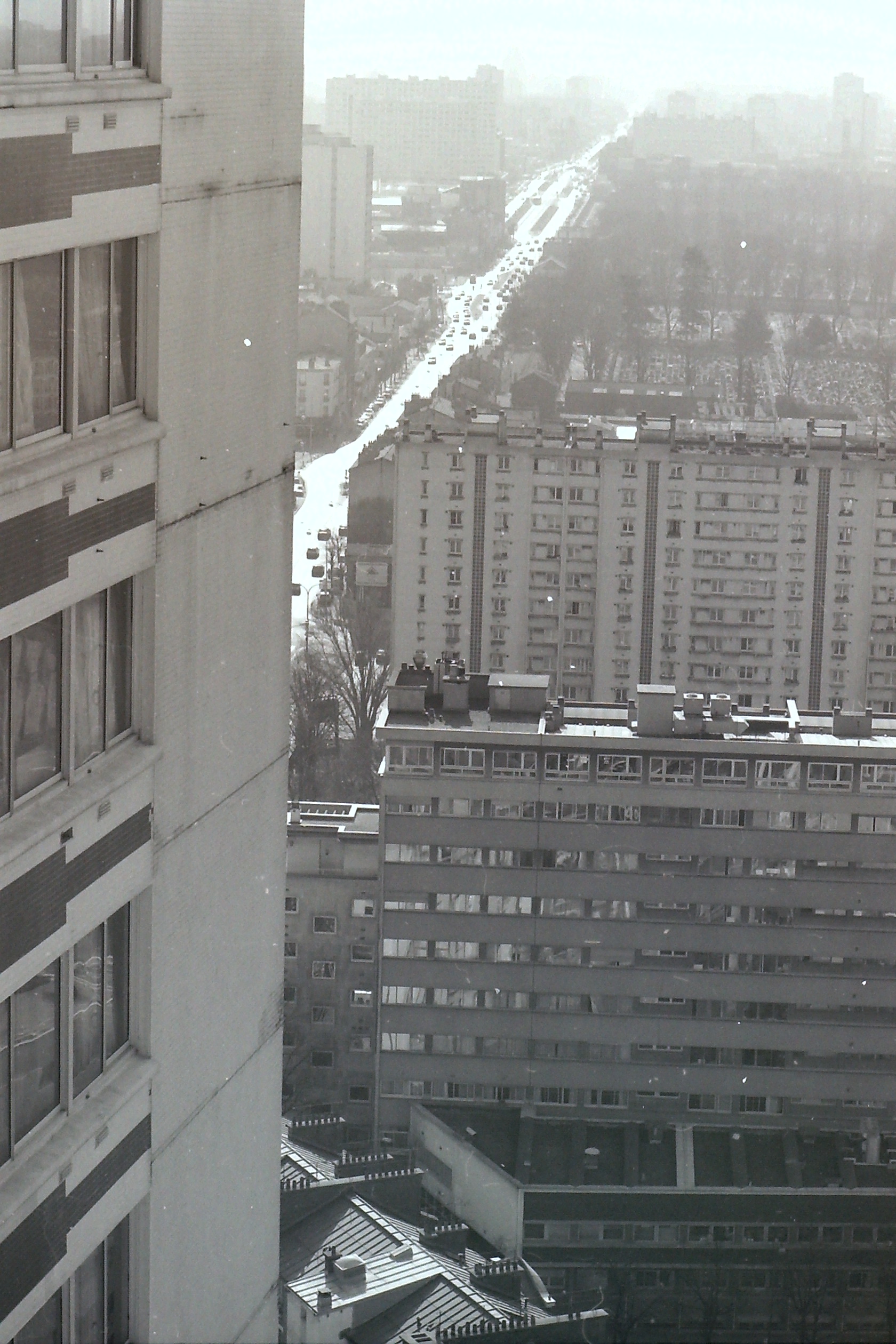 PICT0035-10.JPG
