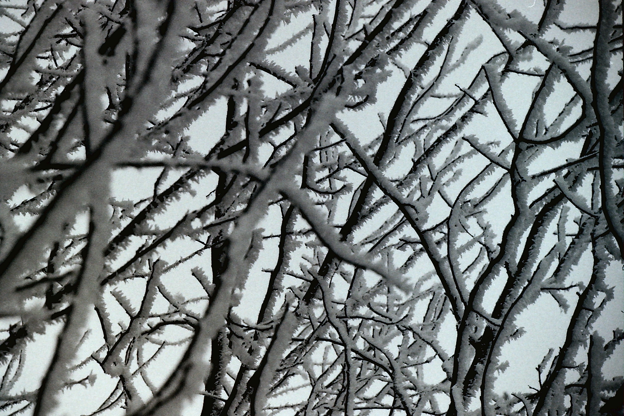 PICT0051.JPG
