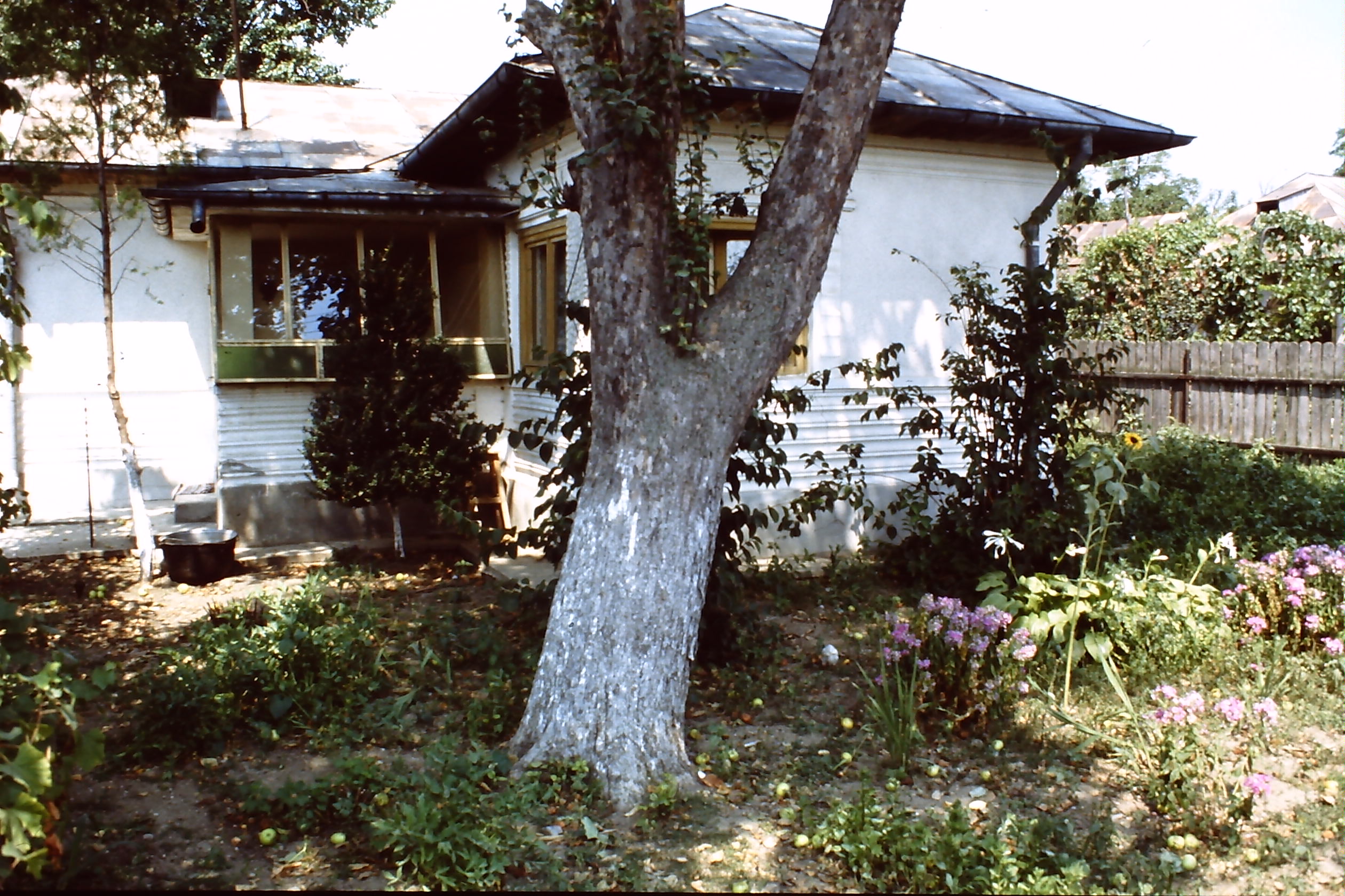 pict0029-10.jpg