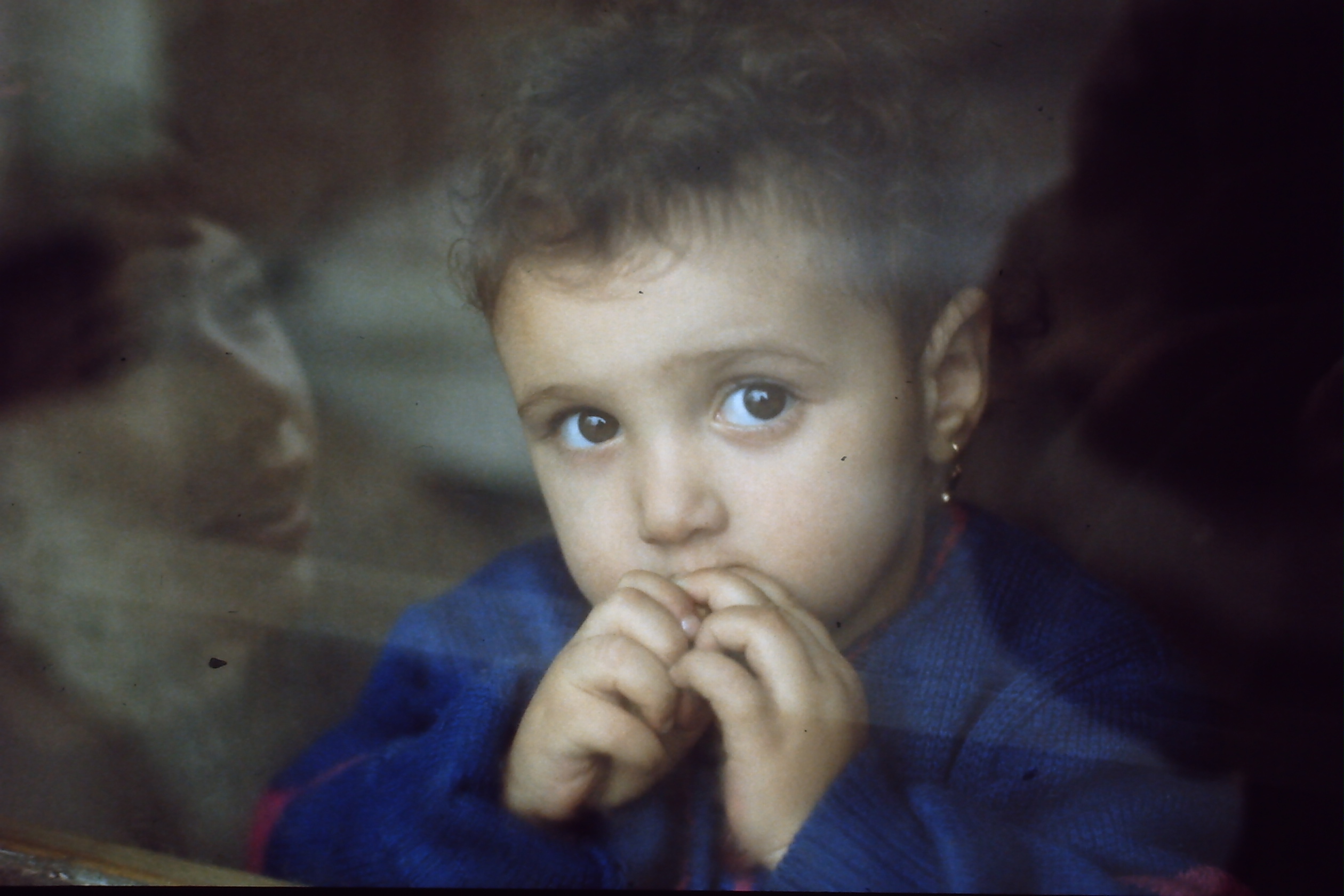 pict0031-8.jpg